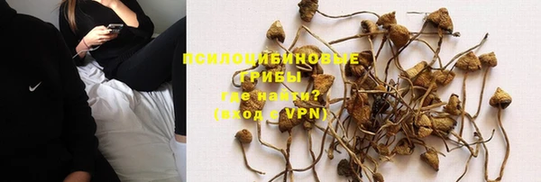 мяу мяу мука Алексин