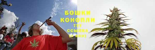 PSILOCYBIN Алзамай