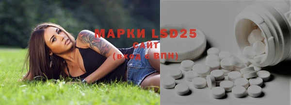 PSILOCYBIN Алзамай