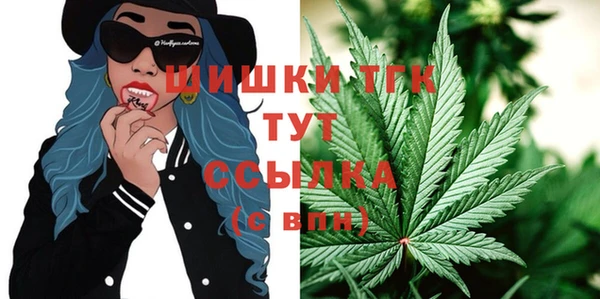 ECSTASY Пересвет