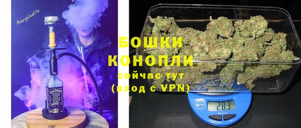PSILOCYBIN Алзамай