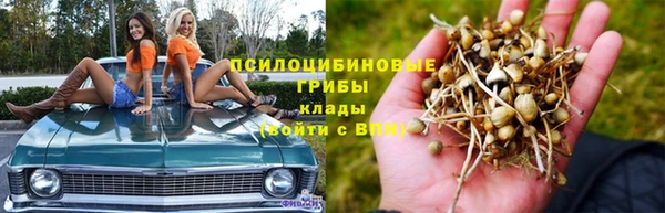 ALPHA PVP Алексеевка