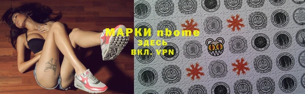 ECSTASY Пересвет