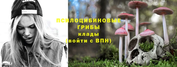 PSILOCYBIN Алзамай