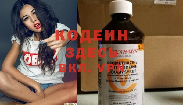 PSILOCYBIN Алзамай