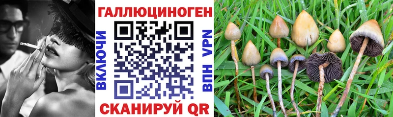Псилоцибиновые грибы GOLDEN TEACHER  kraken tor  Краснознаменск  где купить наркоту 